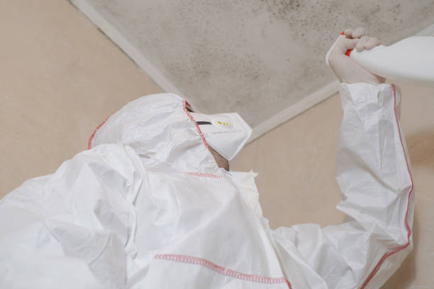 Best Insurance-Related Mold Remediation in Mcmillin, WA