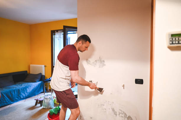 Best Kitchen Mold Remediation in Mcmillin, WA